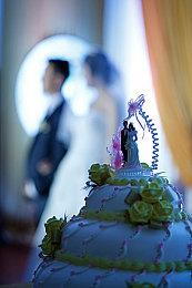 《植物大战僵尸：重植版》公布 登陆Switch 2和Switch、新增本地联机和PvP